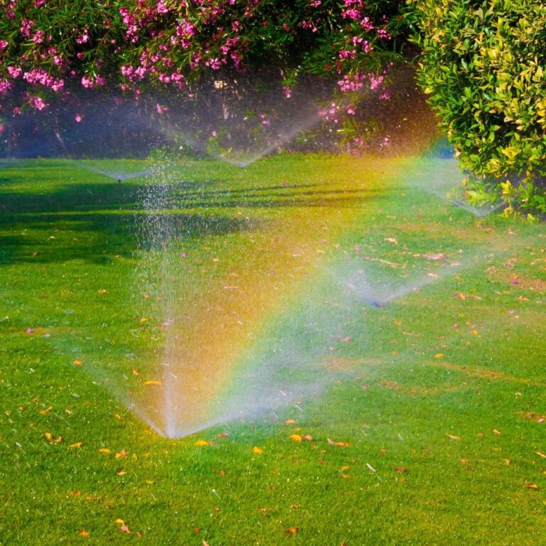 Sprinkler Troubleshooting: When to Hire a Professional