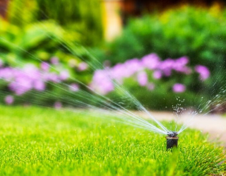 Maintaining Lush Lawns: The Importance of Professional Sprinkler Repair