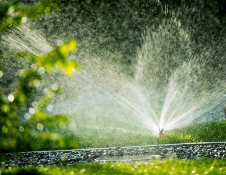 Sprinkler Repair 101: How to Keep Your Lawn Green and Beautiful