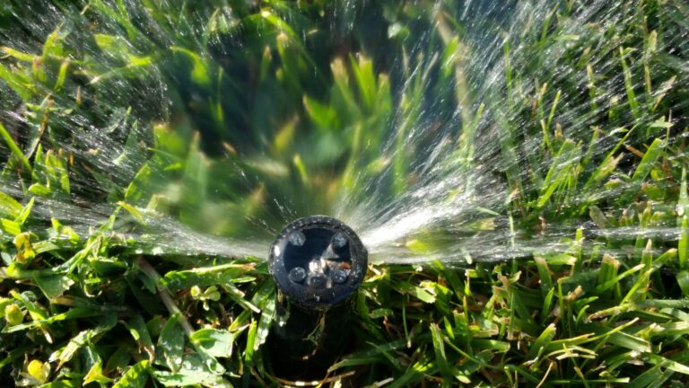 Safe and Reliable Sprinkler Repair in Boise: Why It Matters