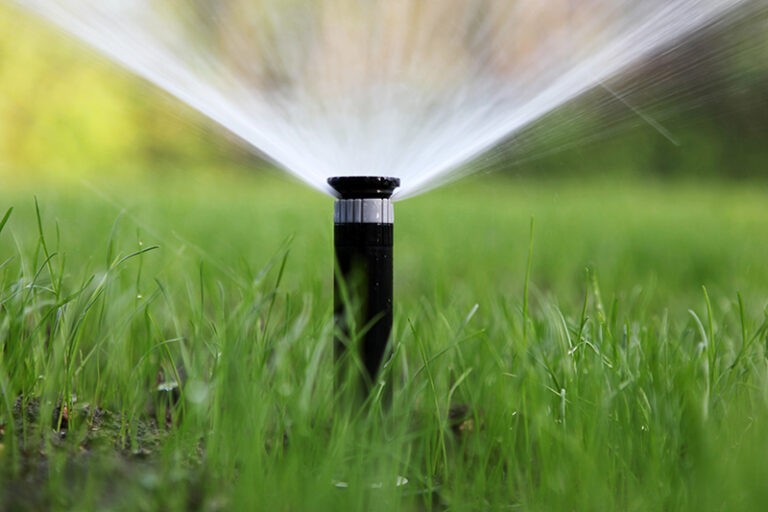Automate Your Sprinkler System So You Can Set It and Forget It