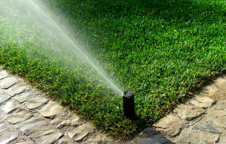 Keeping Your Garden Green: Boise’s Top-Rated Irrigation Repair