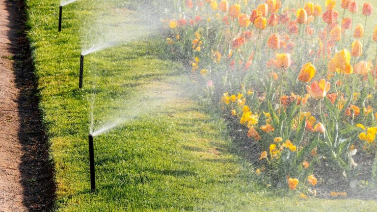 From Broken Sprinklers to Blooming Bouquets: Boise’s Landscape Irrigation Experts